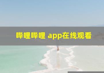 哔哩哔哩 app在线观看